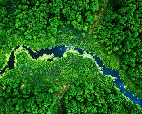 L’Oréal’in 200 milyon euro’luk fonları Türk sivil toplum kuruluşlarını bekliyor