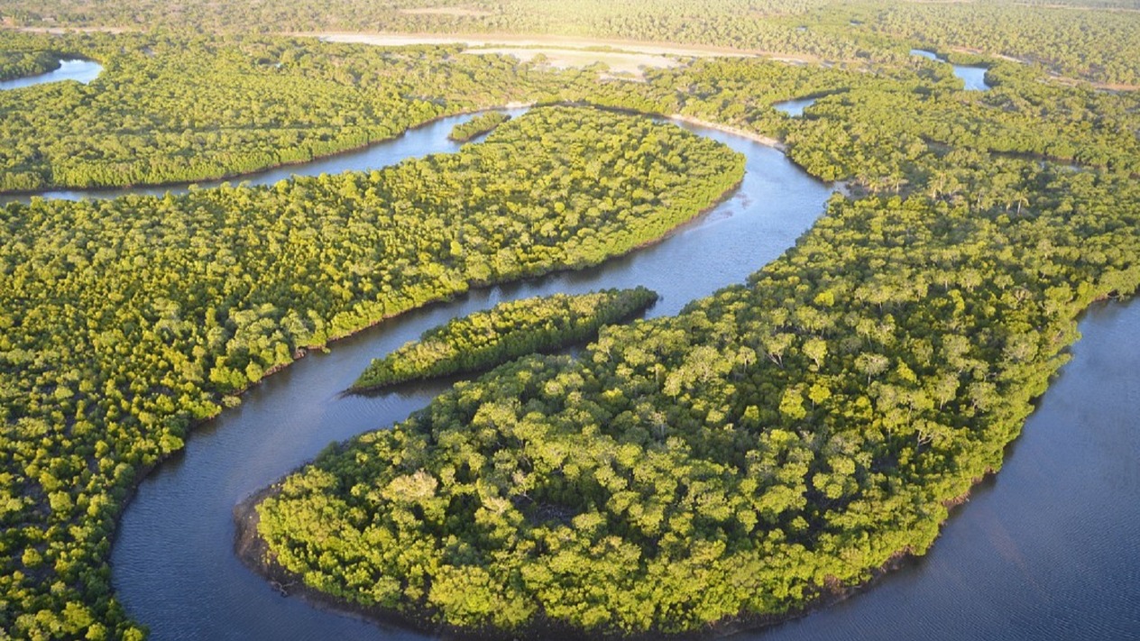 L'Oréal Türkiye’den geleceğe çevreci yatırım