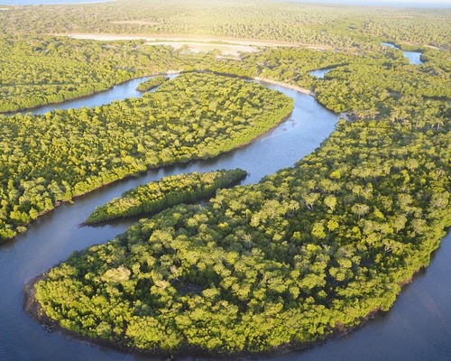 L'Oréal Türkiye’den geleceğe çevreci yatırım