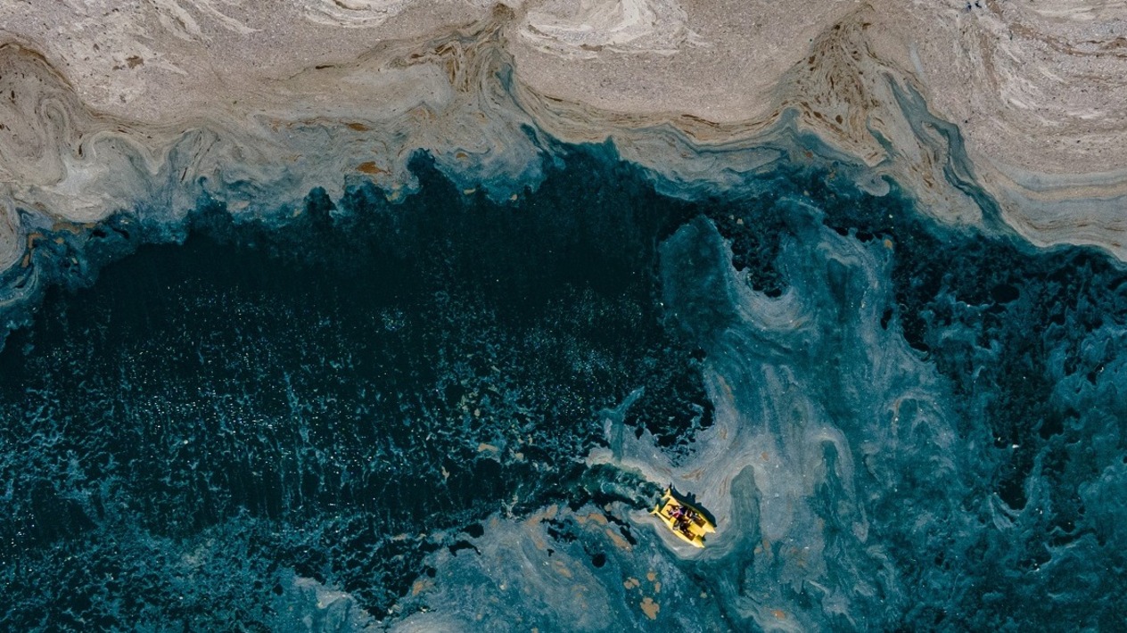 Marmara’yı müsilaj yeniden sardı: Balıkçılar sezon sonu 500 milyon lira kayıp bekliyor