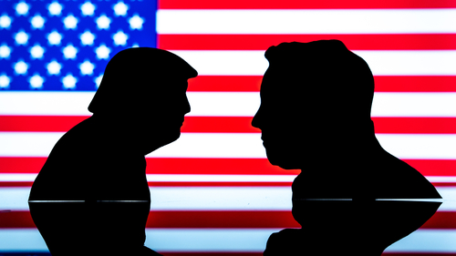 Musk'ın partisinin ilk hedefi: Epstein dosyası