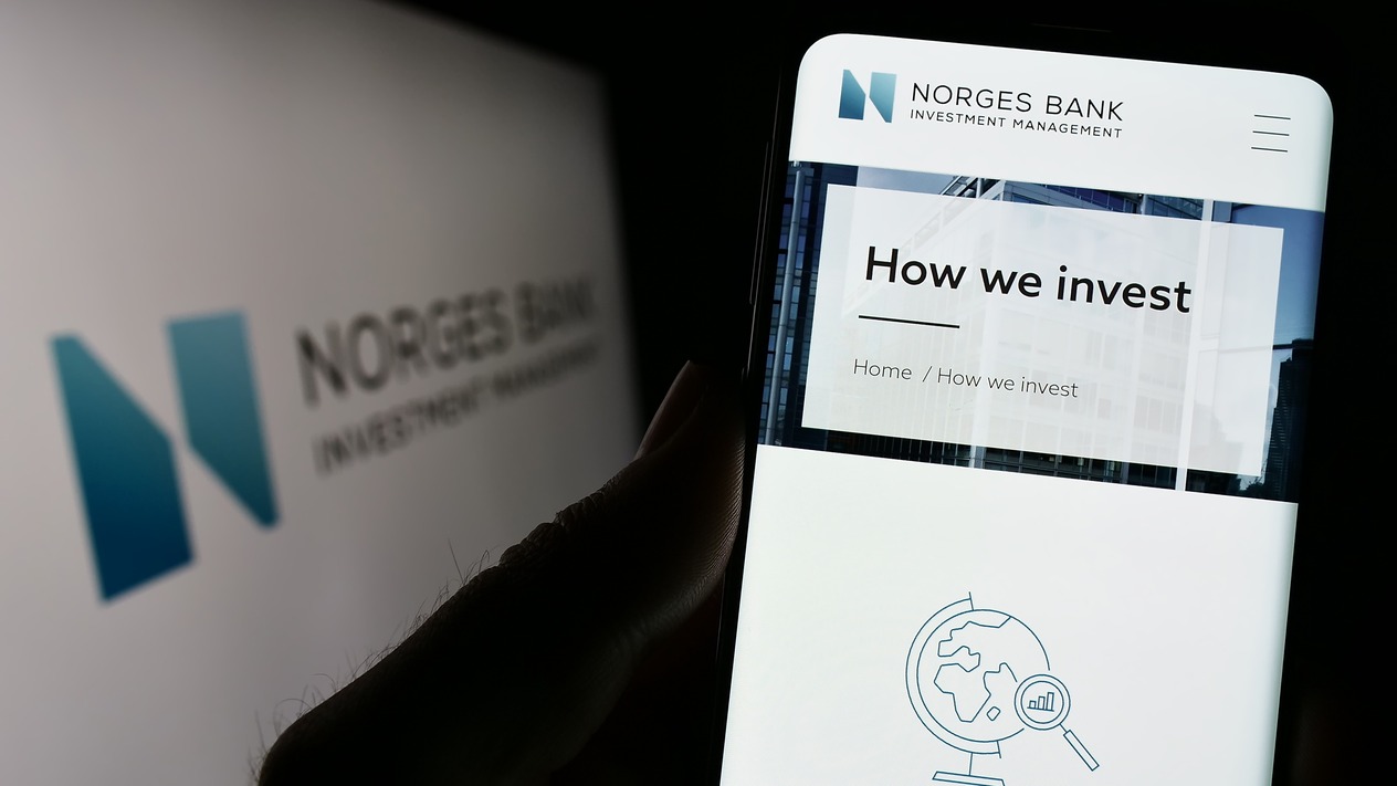 Norveç Varlık Fonu’nun Türkiye yatırımları: 2024'te fona 11 yeni şirket katıldı