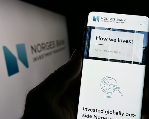 Norveç Varlık Fonu’nun Türkiye yatırımları: 2024'te fona 11 yeni şirket katıldı