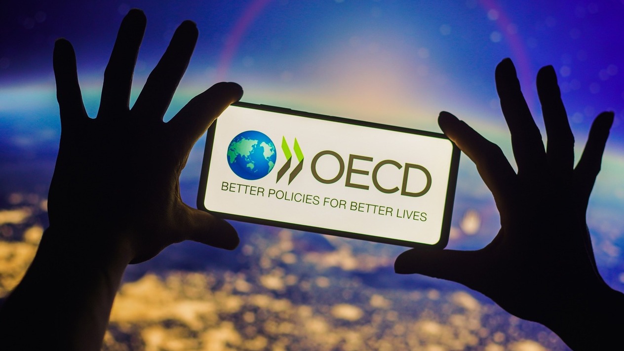 OECD: Kritik minerallerde Türkiye stratejik konumda
