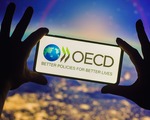 OECD: Kritik minerallerde Türkiye stratejik konumda