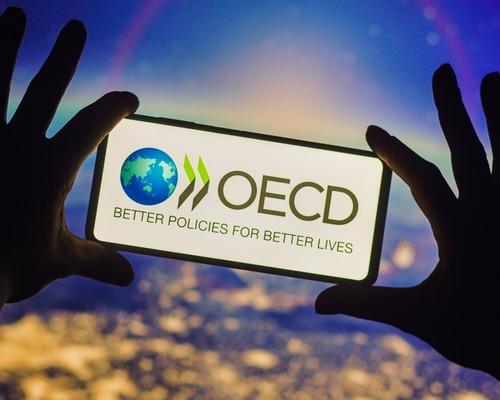OECD Türkiye için büyüme tahminini aşağı çekti