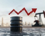 OPEC+ temmuz ayında üretim artışına gidiyor