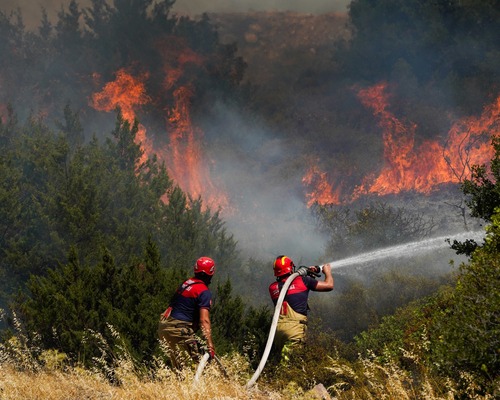 Orman yangınları küresel risk ligine yükseldi: Allianz’ın 2025 raporundan çarpıcı uyarılar