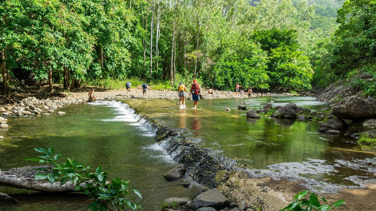 Panta Rhei: Sağlıkta her şey akıyor