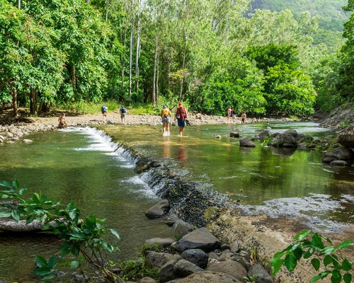 Panta Rhei: Sağlıkta her şey akıyor