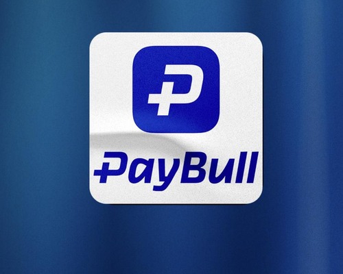 Paybull’a yasa dışı bahis soruşturması