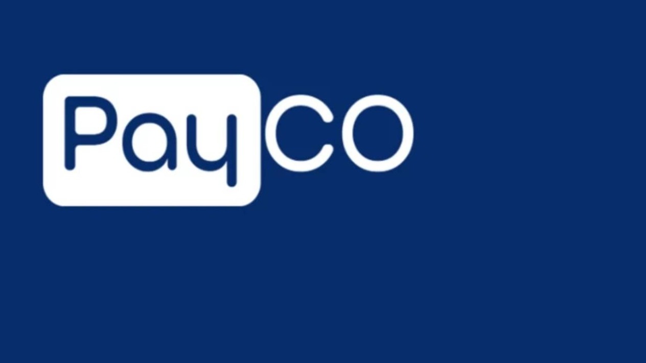 PAYCO Elektronik Para'ya soruşturma