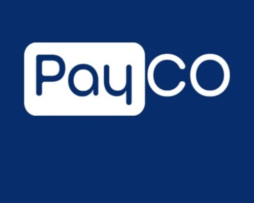 PAYCO Elektronik Para'ya soruşturma