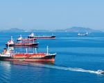 Petrol fiyatları karşılıklı saldırıların ardından yeniden yükselişe geçti