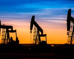 Petrol fiyatlarında üç günlük yükseliş serisi sona erdi