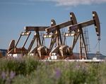 Petrolde savaş ve Hürmüz baskısı yeniden güçlendi