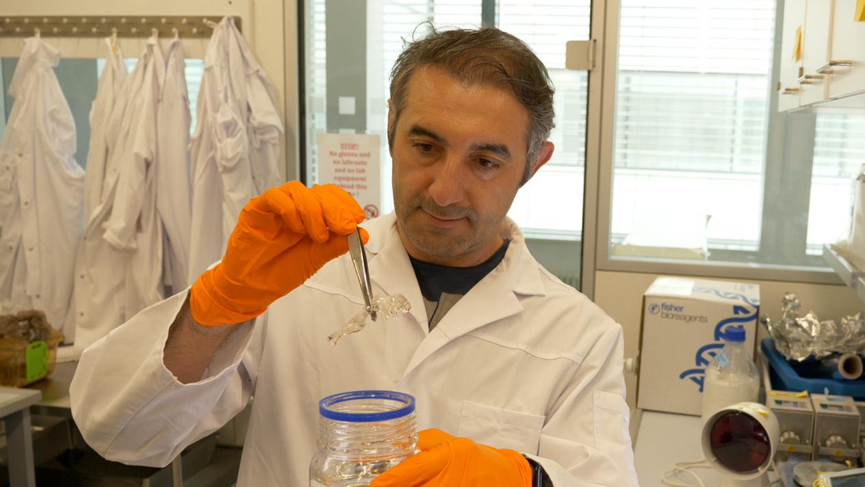 Prof. Dr. Ali Ertürk vDISCO yöntemiyle kişiselleştirilmiş ilaç geliştirme süreçlerini hızlandırıyor