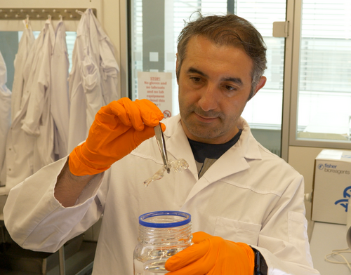 Prof. Dr. Ali Ertürk vDISCO yöntemiyle kişiselleştirilmiş ilaç geliştirme süreçlerini hızlandırıyor