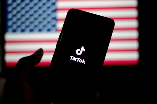 Reddit'in kurucu ortağı Ohanian TikTok için devrede