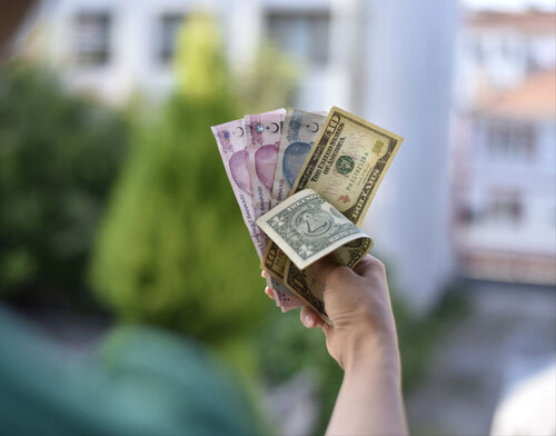 Reel efektif döviz kuru endeksi 5 yılın zirvesinde