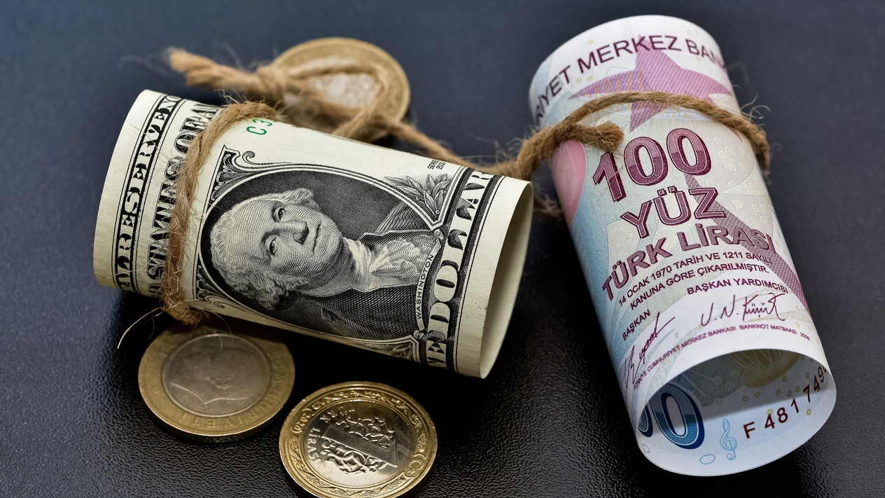 Reel efektif döviz kuru endeksi ağustos ayında 105,04 seviyesine geriledi