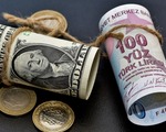 Reel efektif döviz kuru endeksi ağustos ayında 105,04 seviyesine geriledi