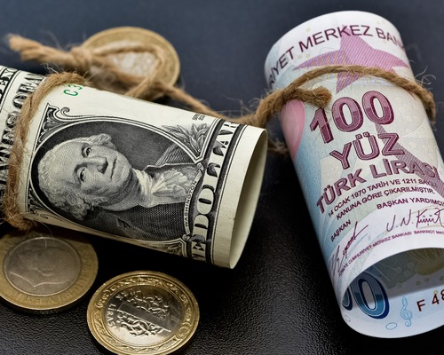 Reel efektif döviz kuru endeksi ağustos ayında 105,04 seviyesine geriledi