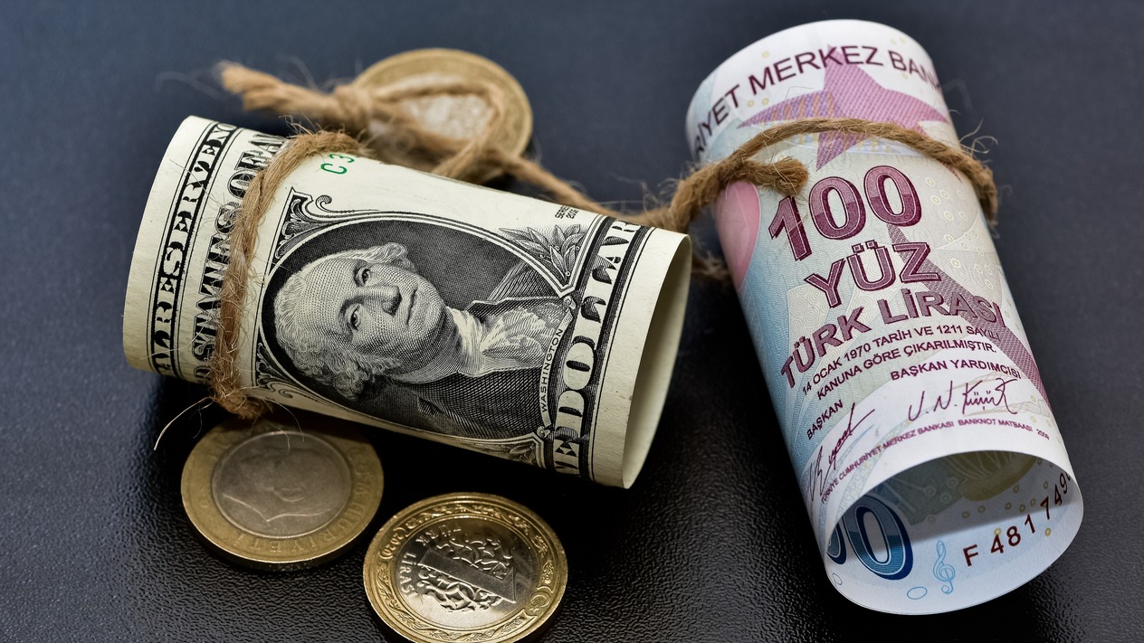 Reel efektif döviz kuru endeksi mayıs ayında geriledi