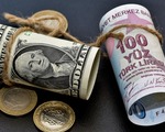 Reel efektif döviz kuru endeksi mayıs ayında geriledi