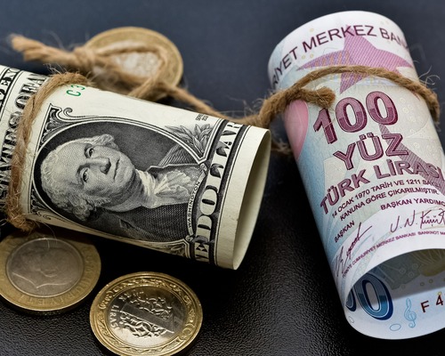 Reel efektif döviz kuru endeksi mayıs ayında geriledi