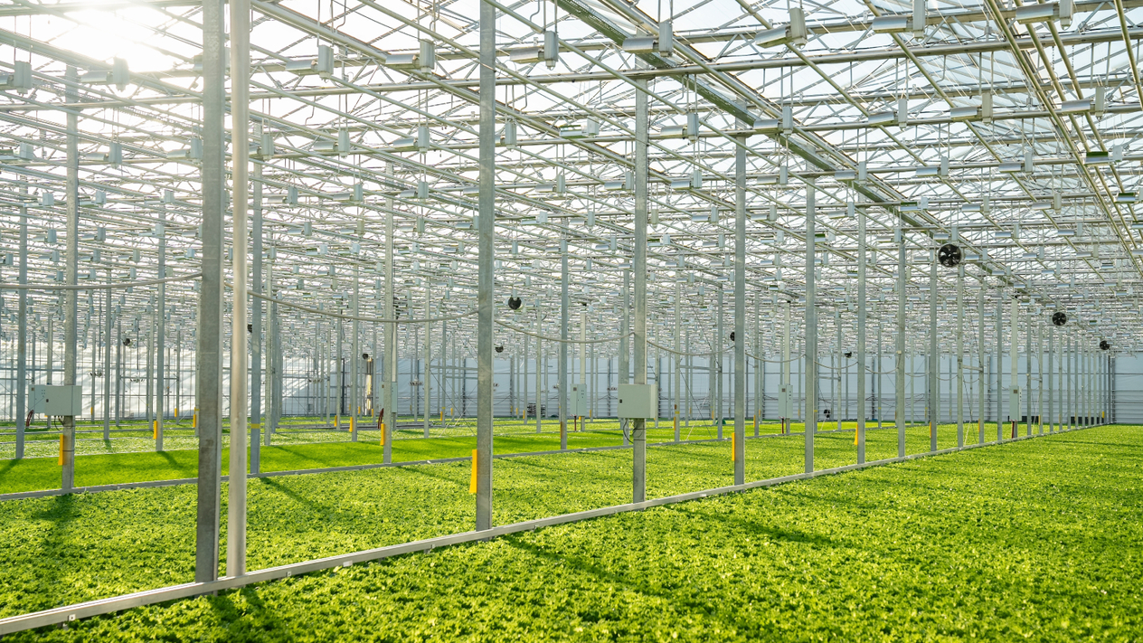 Savunma şirketi Forte'den tarıma yatırım