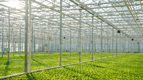 Savunma şirketi Forte'den tarıma yatırım