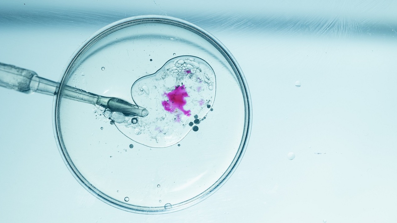 Silikon Vadisi'nin daha zeki bebek takıntısı