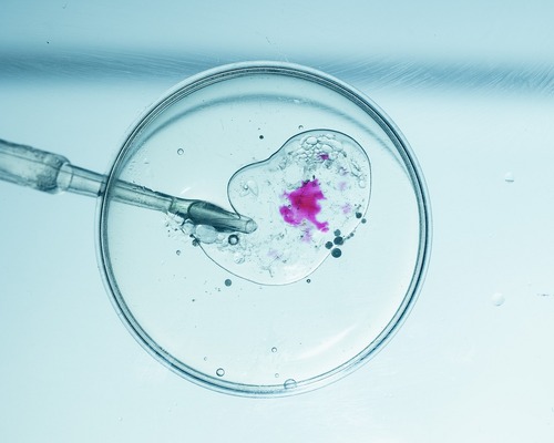 Silikon Vadisi'nin daha zeki bebek takıntısı