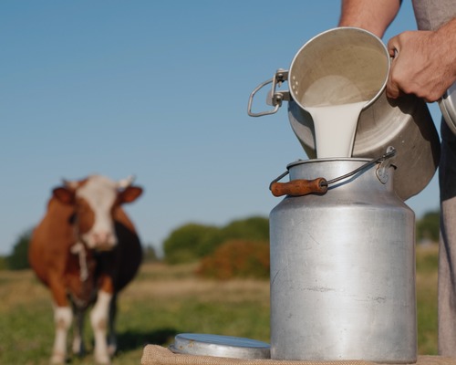 Süt üretimi kasımda geriledi: Yıllık düşüş yüzde 4'ü buldu