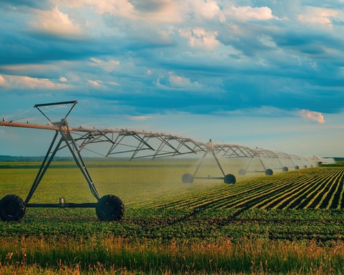 Tarım-ÜFE'de yıllık artış hızı yavaşladı: Kasımda aylık bazda düşüş görüldü
