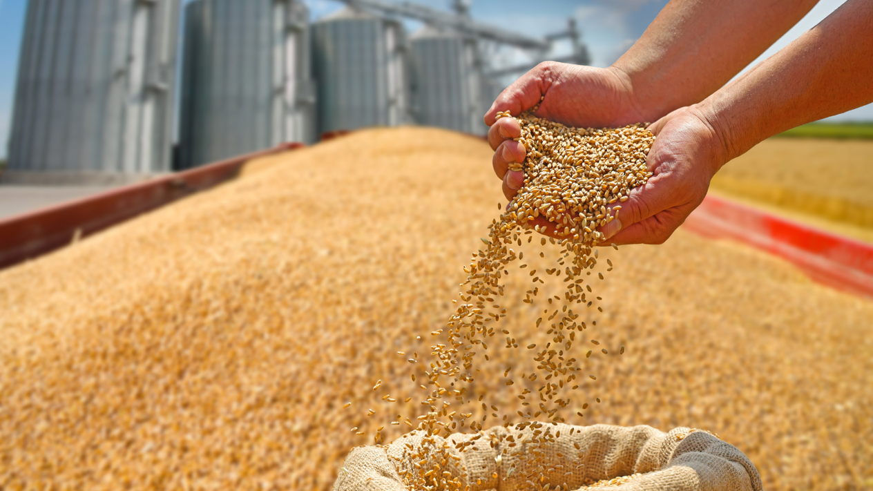 Tarım-ÜFE Ocak ayında da yükselişini sürdürdü