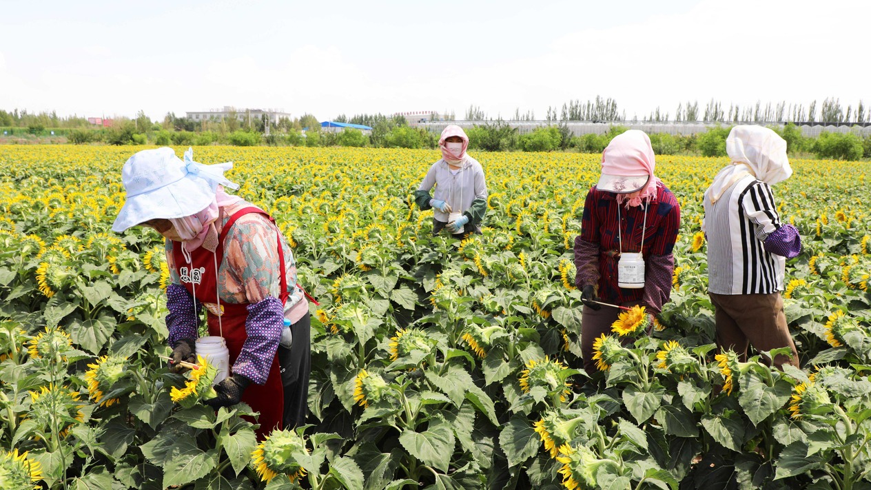 Tarım üretici fiyatları eylülde yükseldi