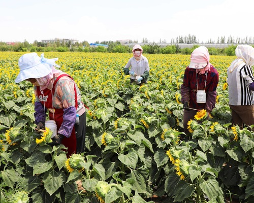 Tarım üretici fiyatları eylülde yükseldi
