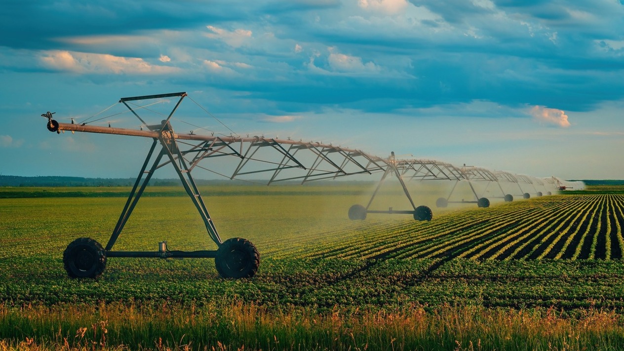 Tarım ürünlerinde üretici fiyatları martta yükseldi