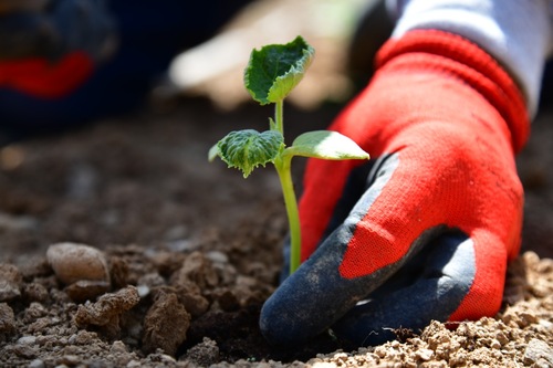 Tarımda üretici enflasyonu martta yüzde 6,9 arttı