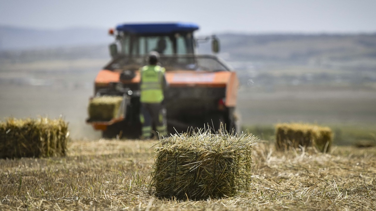 Tarımda üretici enflasyonu temmuzda aylık bazda düştü