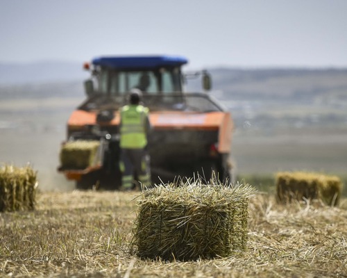 Tarımda üretici enflasyonu temmuzda aylık bazda düştü