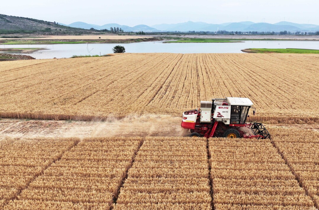 Tarımsal girdi fiyatları yılın en yüksek seviyesinde