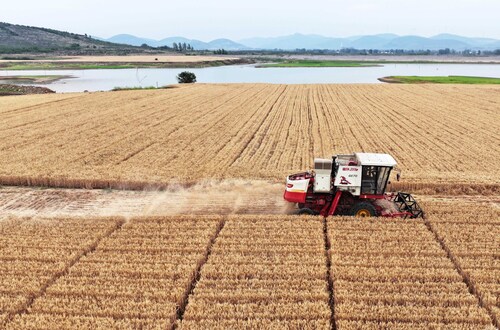 Tarımsal girdi fiyatları yılın en yüksek seviyesinde