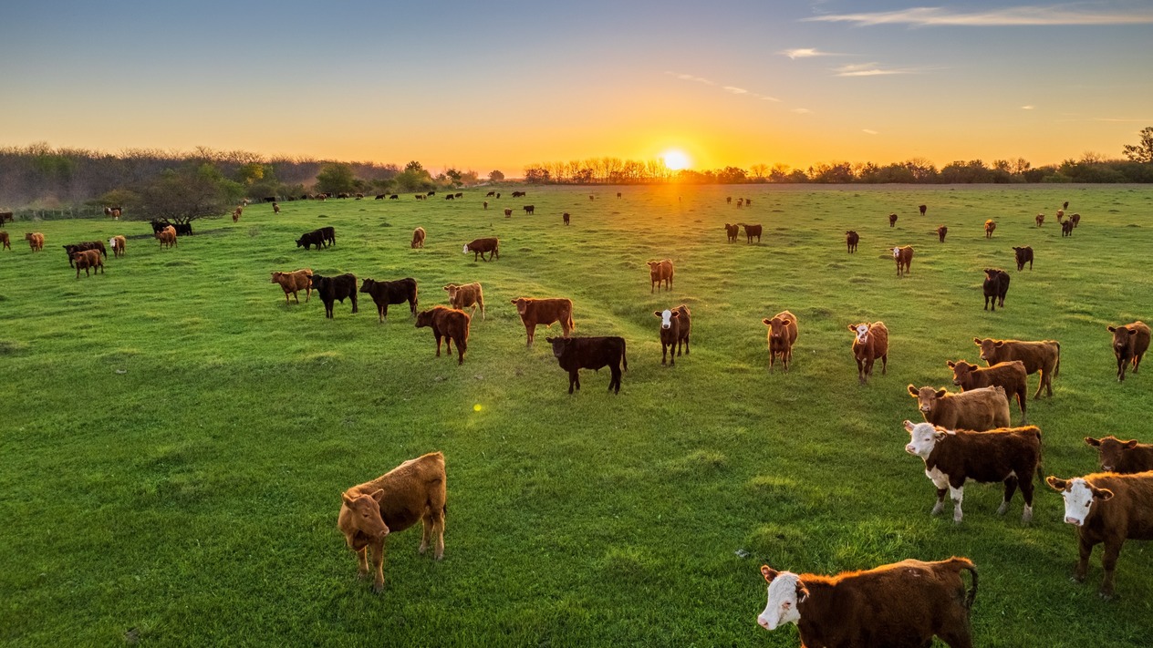 Tarımsal girdi maliyetleri kasımda yüzde 1,84 arttı