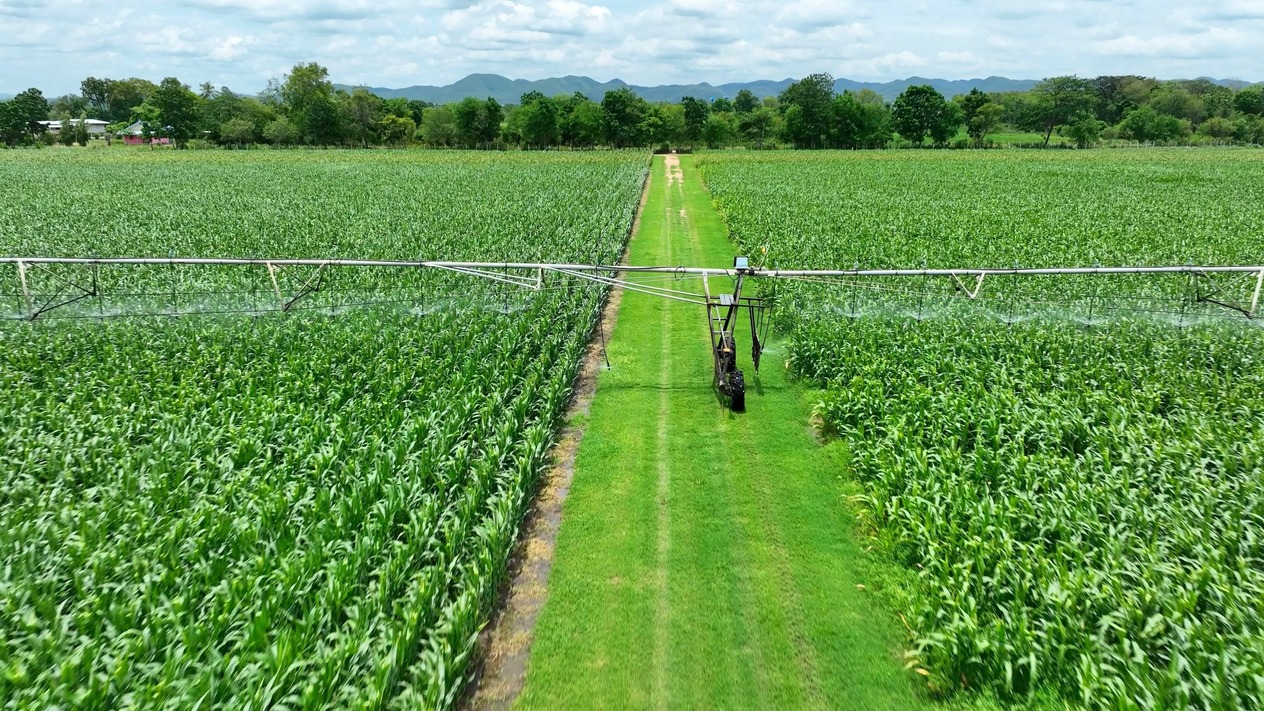 Tarımsal sulamada hibe oranları belli oldu: Yüzde 70'e kadar destek