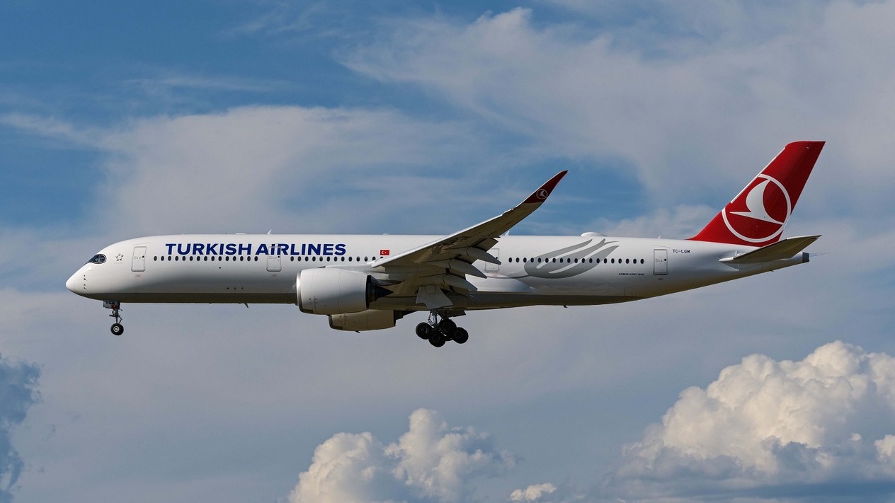 THY Air Europa hisseleri için teklif vermeyi düşünüyor