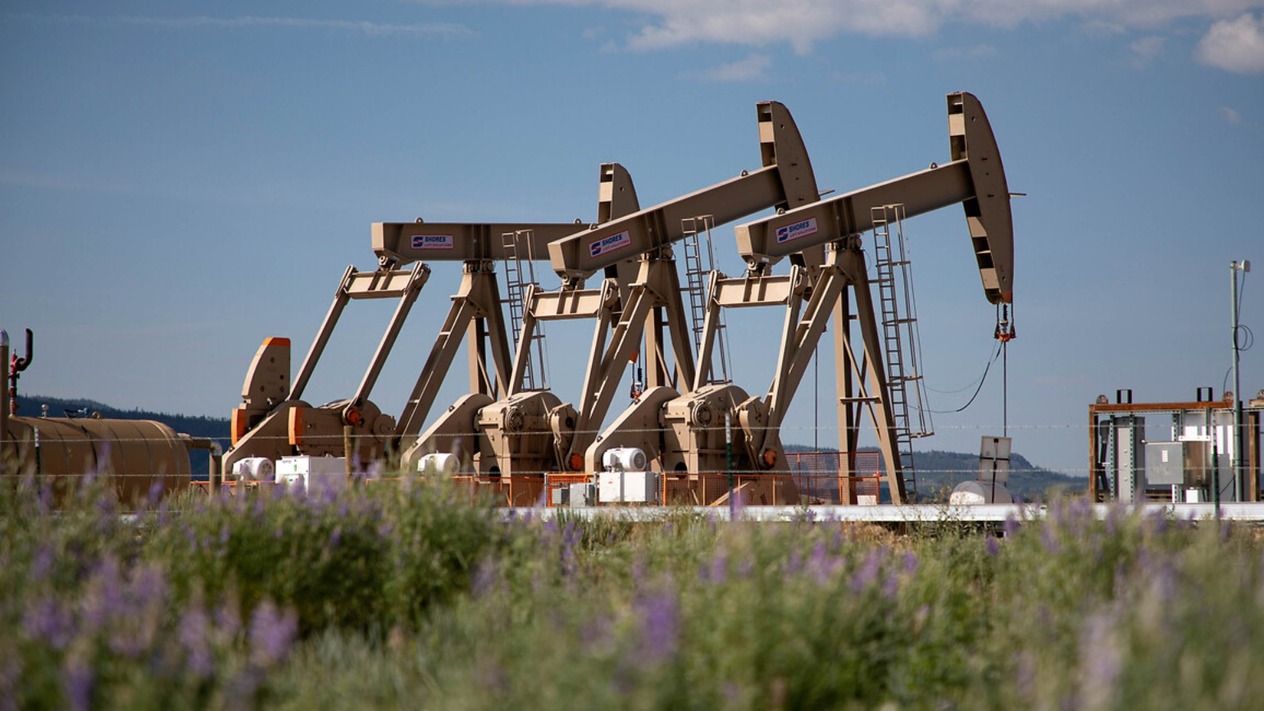 TPAO ve Petrogas'ın Tekirdağ'daki ruhsatları uzatıldı