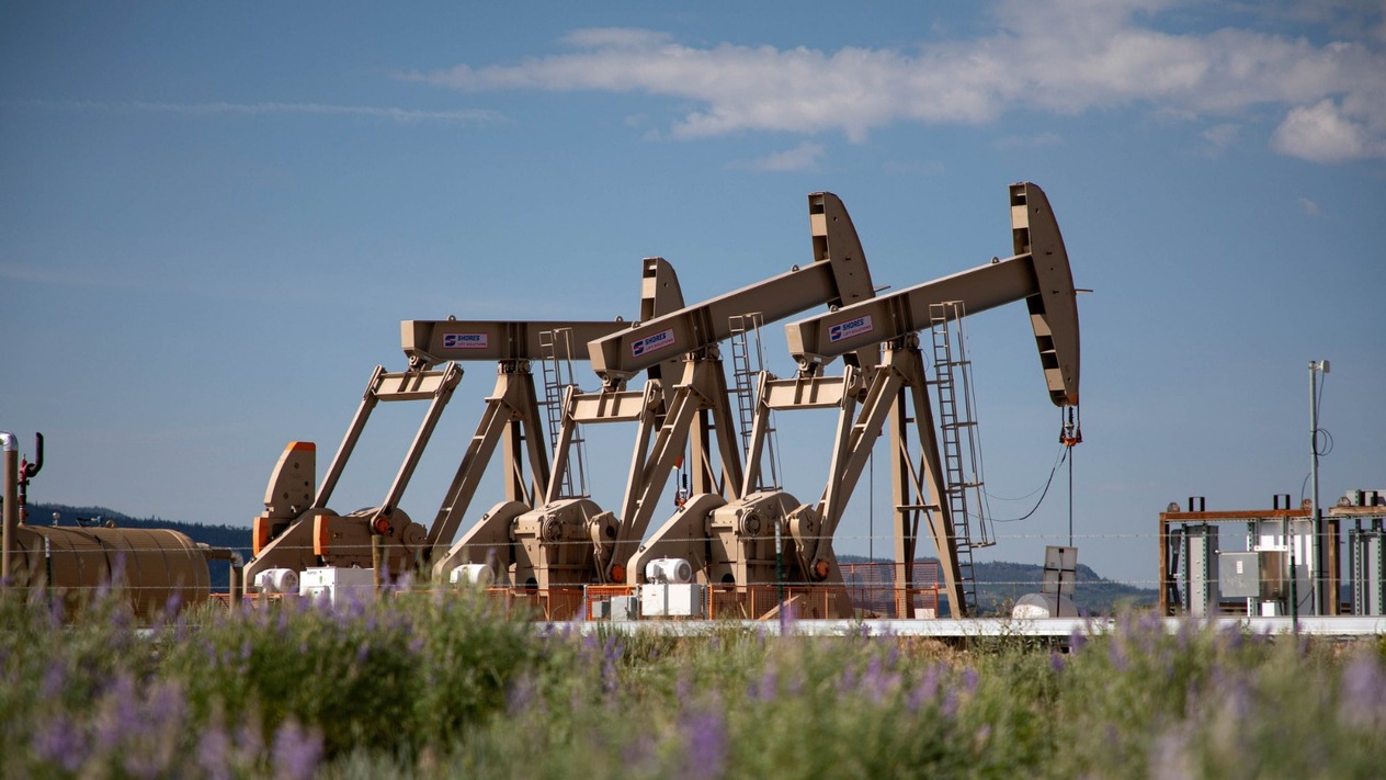 Trump'ın ucuz petrol vaadi